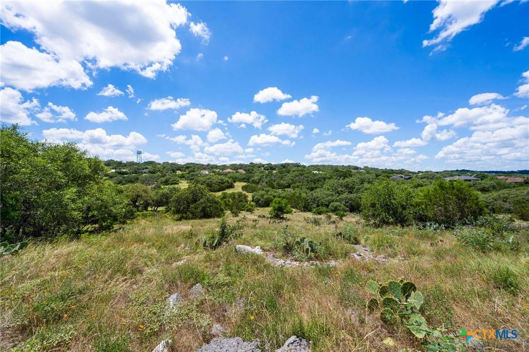New Braunfels, TX 78132,163 Northridge