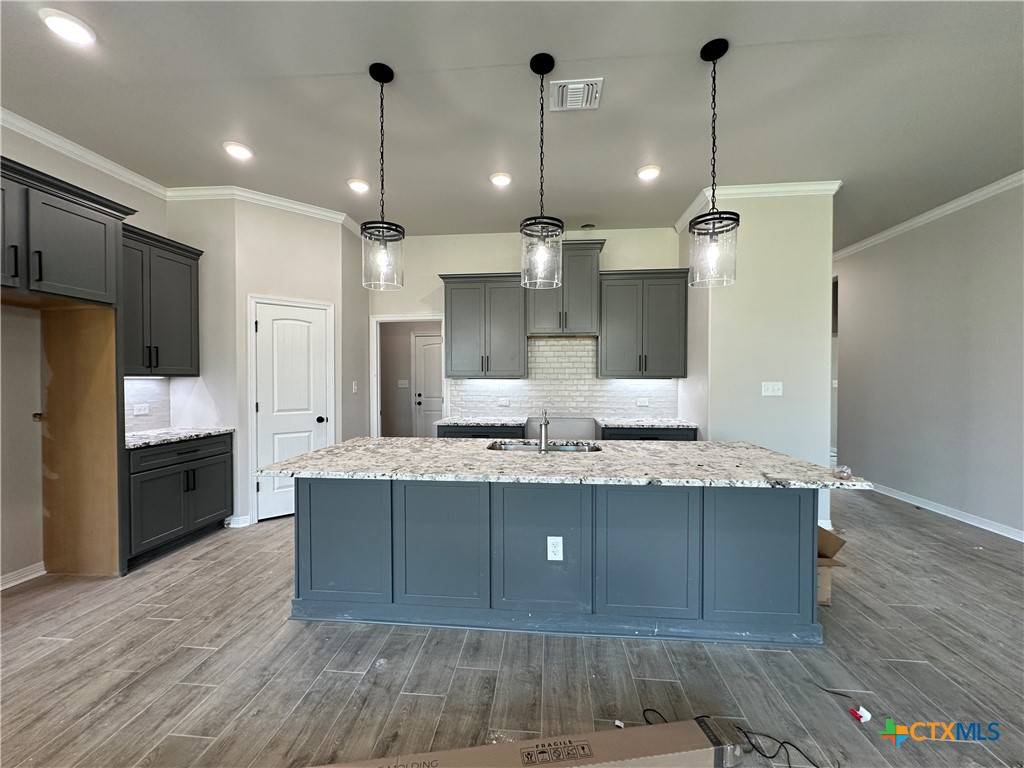 Temple, TX 76502,222 Sand Lilly DR
