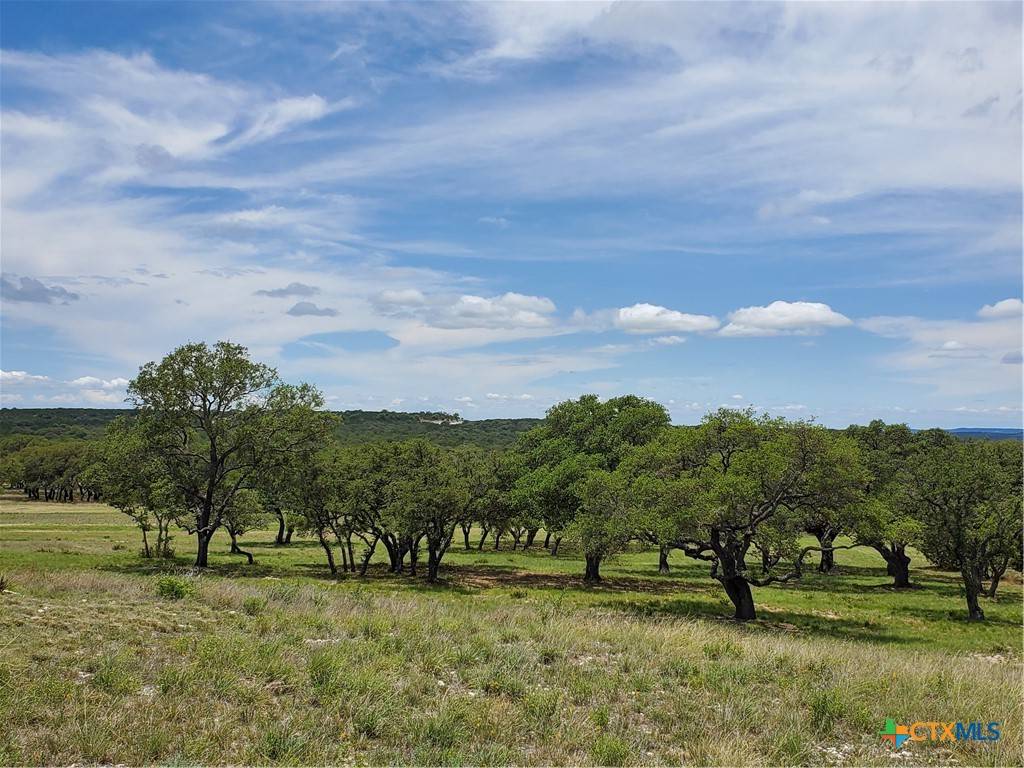 Lampasas, TX 76550,974 Blackbuck Ridge DR