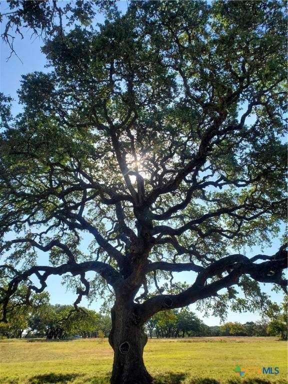 Lampasas, TX 76550,974 Blackbuck Ridge DR