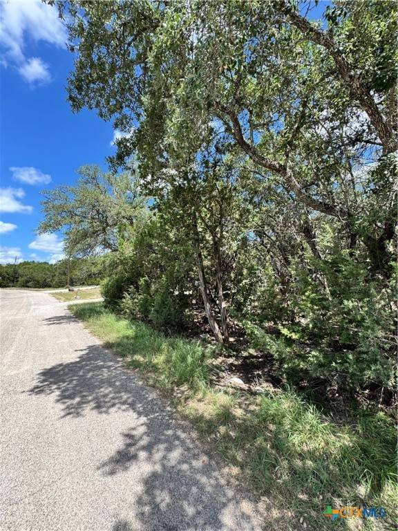 Spring Branch, TX 78070,1431 Cedar Grove TRL