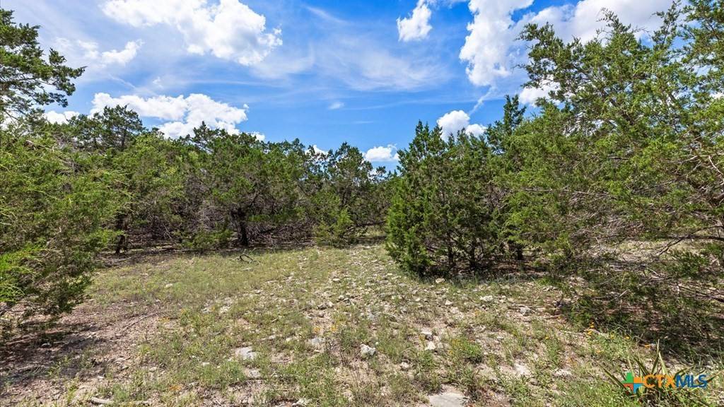 Spring Branch, TX 78070,Address not disclosed