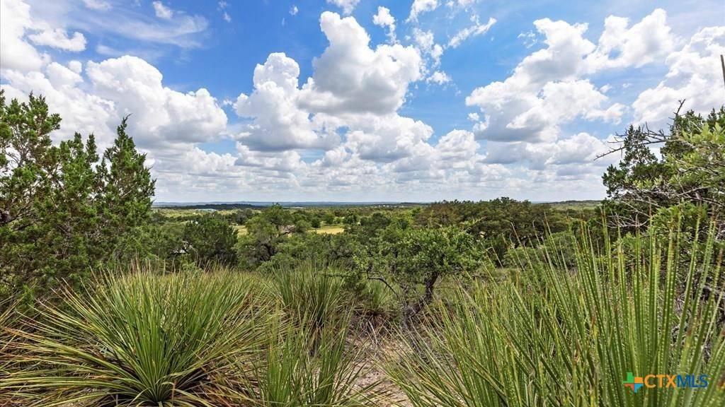 Spring Branch, TX 78070,Address not disclosed