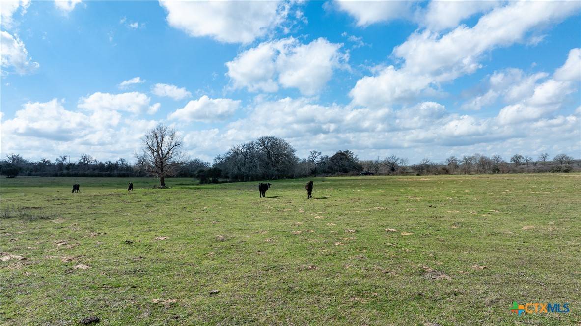 Harwood, TX 78629,Lot 13 Mule Creek RD