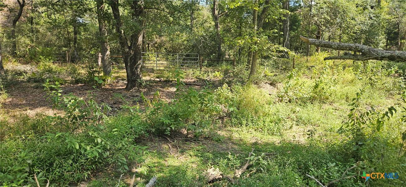 Milano, TX 76556,TBD County Road 342