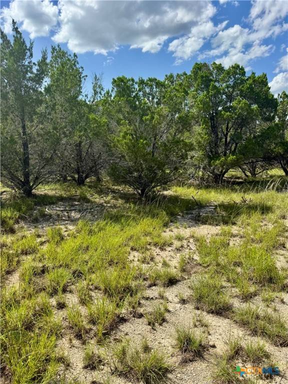 Canyon Lake, TX 78133,1671 Noble TRL