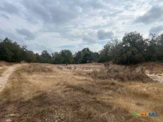 Caldwell, TX 77836,Lot 18 Woodland Trail RNCH