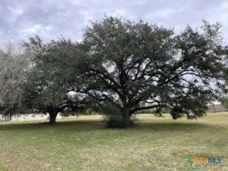 Victoria, TX 77904,209 Tropical DR