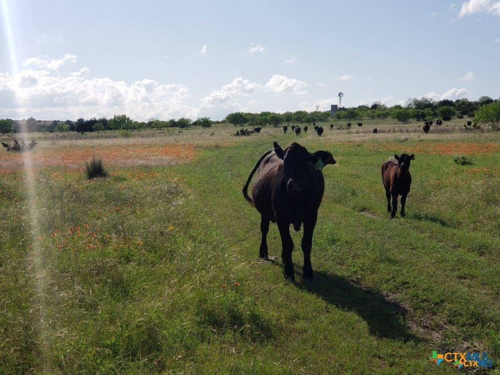 Lampasas, TX 76550,Lot 5 County Road 1255 Pitt Creek Ranch