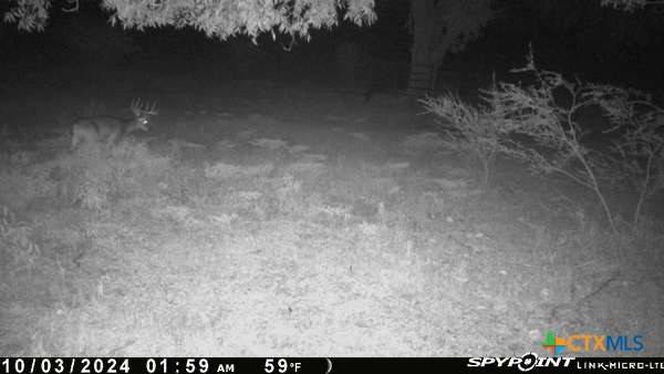 Luling, TX 78648,465 Oak Grove RD