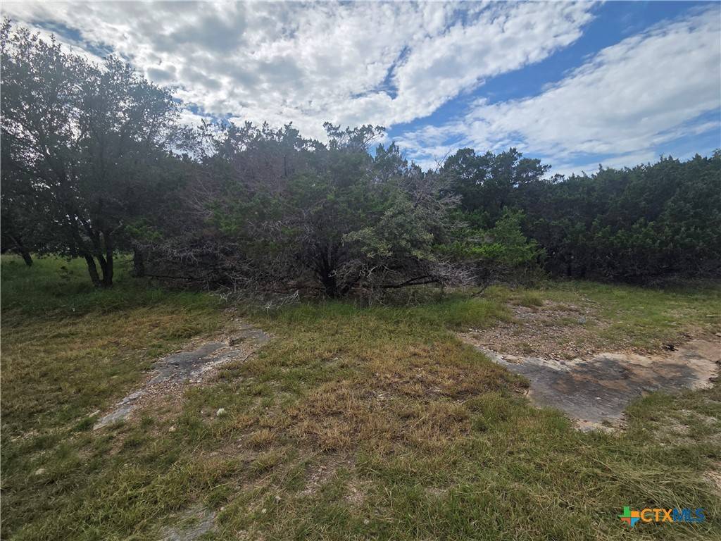 Temple, TX 76502,5236 Comanche DR