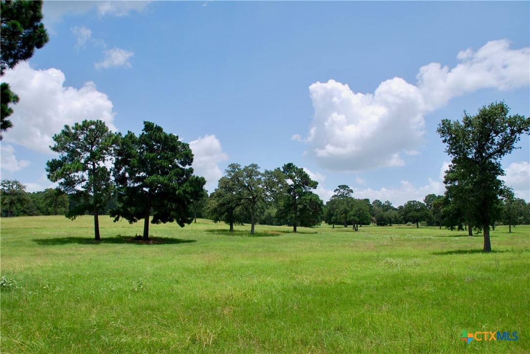 Rosanky, TX 78953,TBD Sandy LN