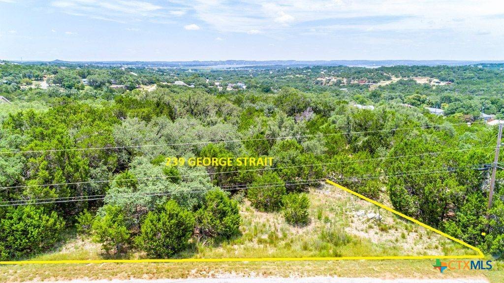 Canyon Lake, TX 78133,239 George Strait