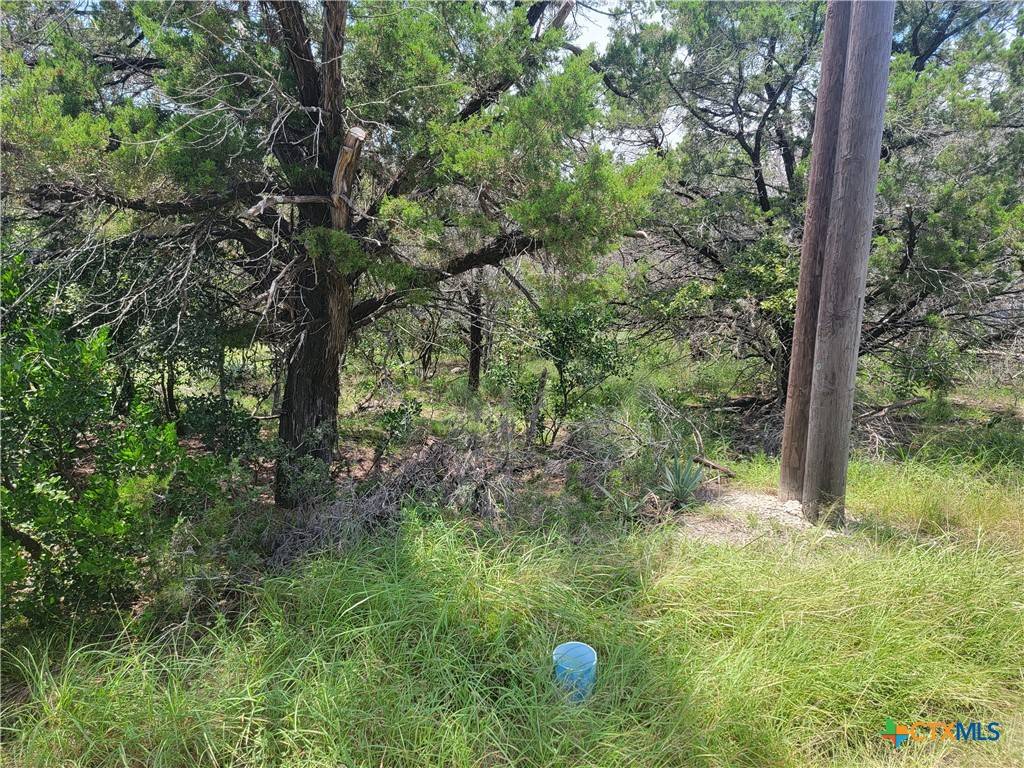 Temple, TX 76502,16011 Brazos DR