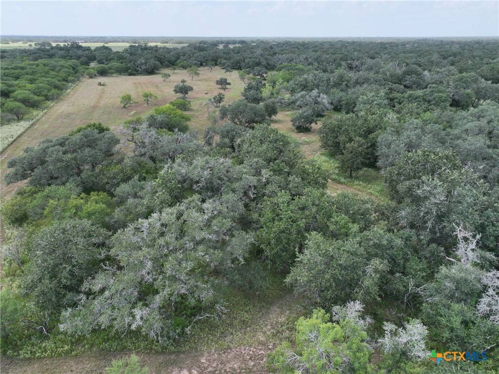 Goliad, TX 77963,000 Bego Road