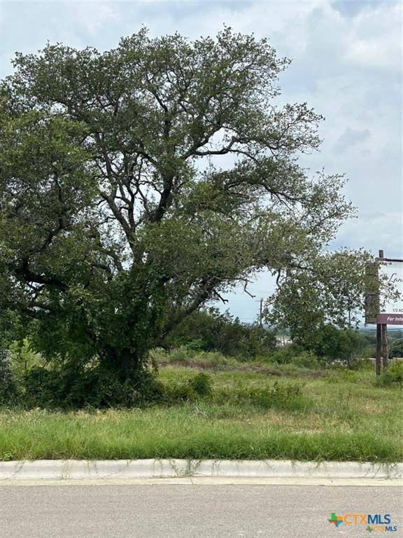 Temple, TX 76501,7002 Troyan LN