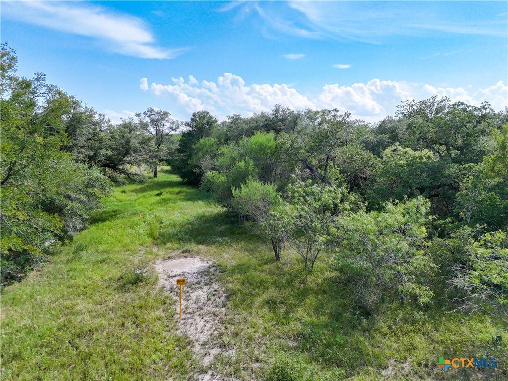 Smiley, TX 78159,Lot 9 County Road 211
