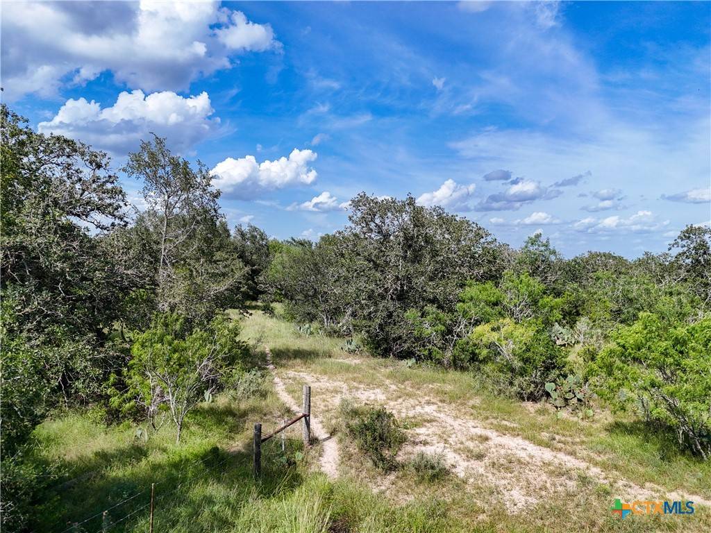 Smiley, TX 78159,Lot 9 County Road 211