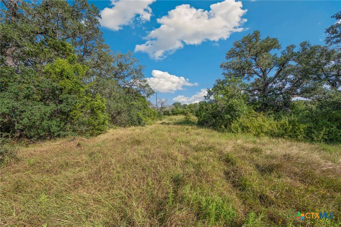 New Braunfels, TX 78132,1732 Herbelin RD