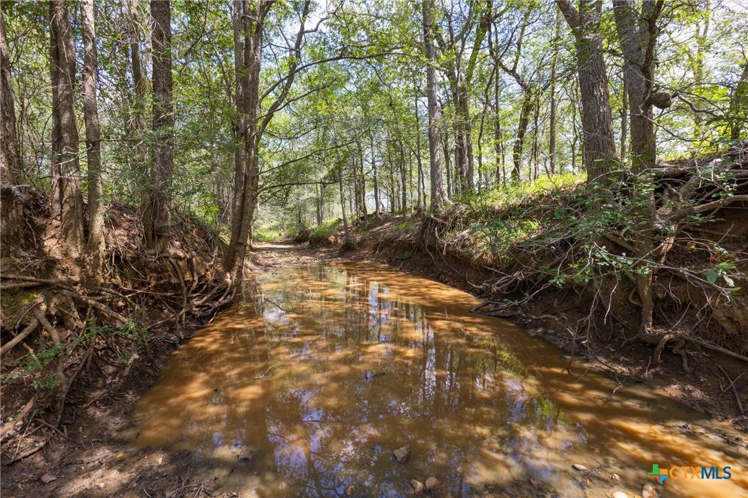 Gonzales, TX 78629,000 E County Road 258
