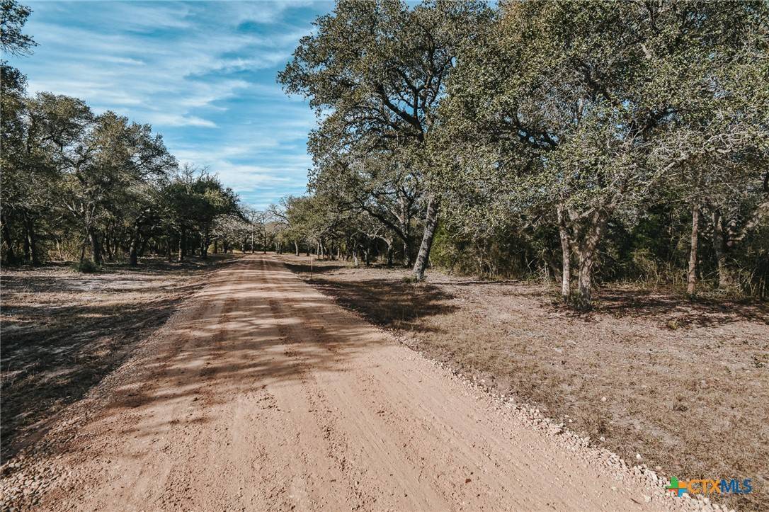Inez, TX 77968,Tract D Vitek LN