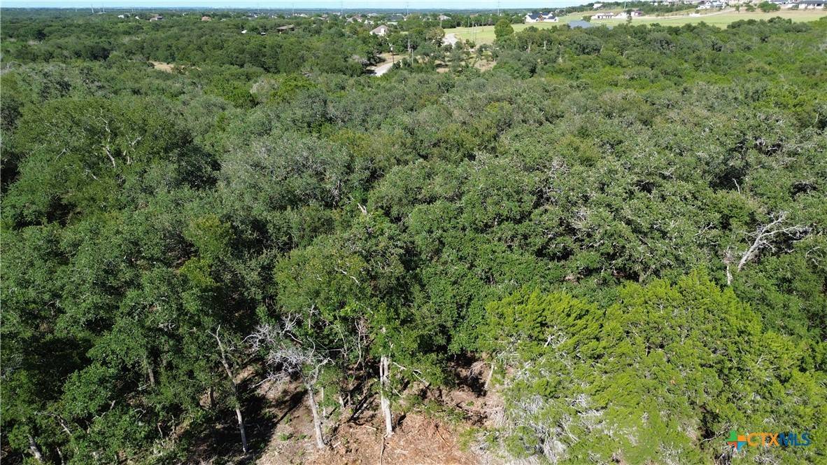 Salado, TX 76571,Lot 8 Woodford CT