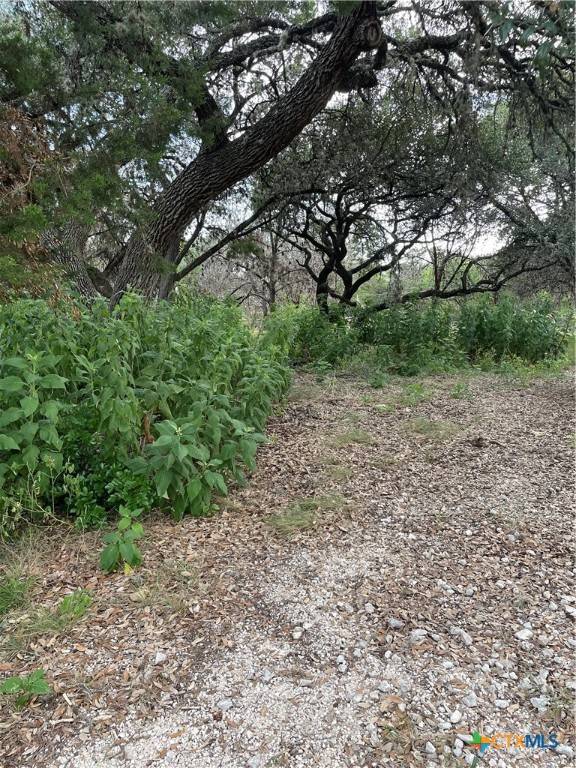 Canyon Lake, TX 78133,1640 Comfort