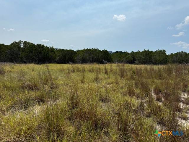 Canyon Lake, TX 78133,1672 Noble TRL