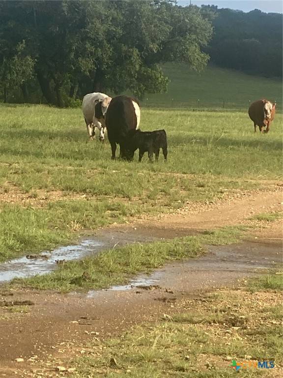 Burnet, TX 78611,2029 County Road 200