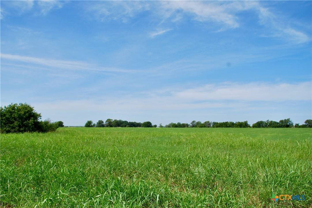 Schulenburg, TX 78956,Tract 3 Company Field RD