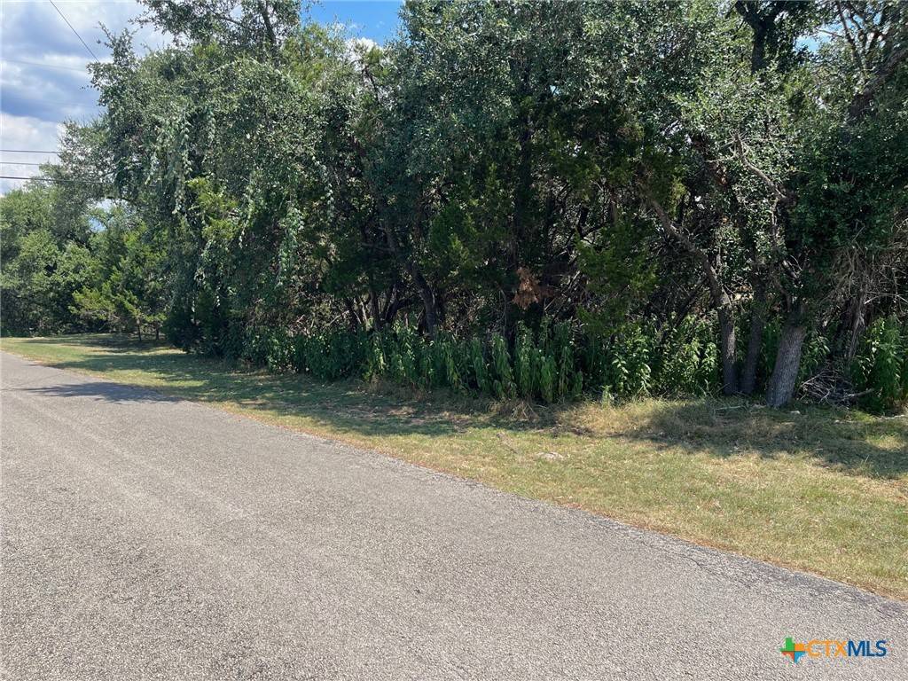 Canyon Lake, TX 78133,1124 Scenic DR