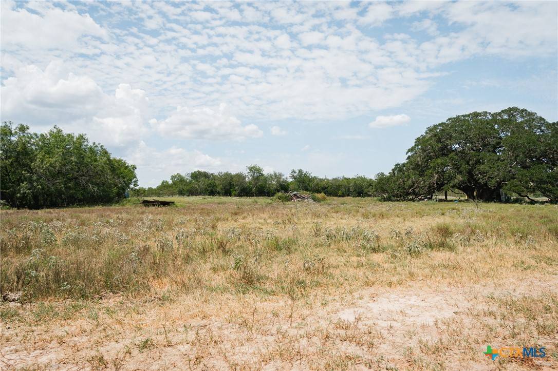 Goliad, TX 77963,000 Dye RD