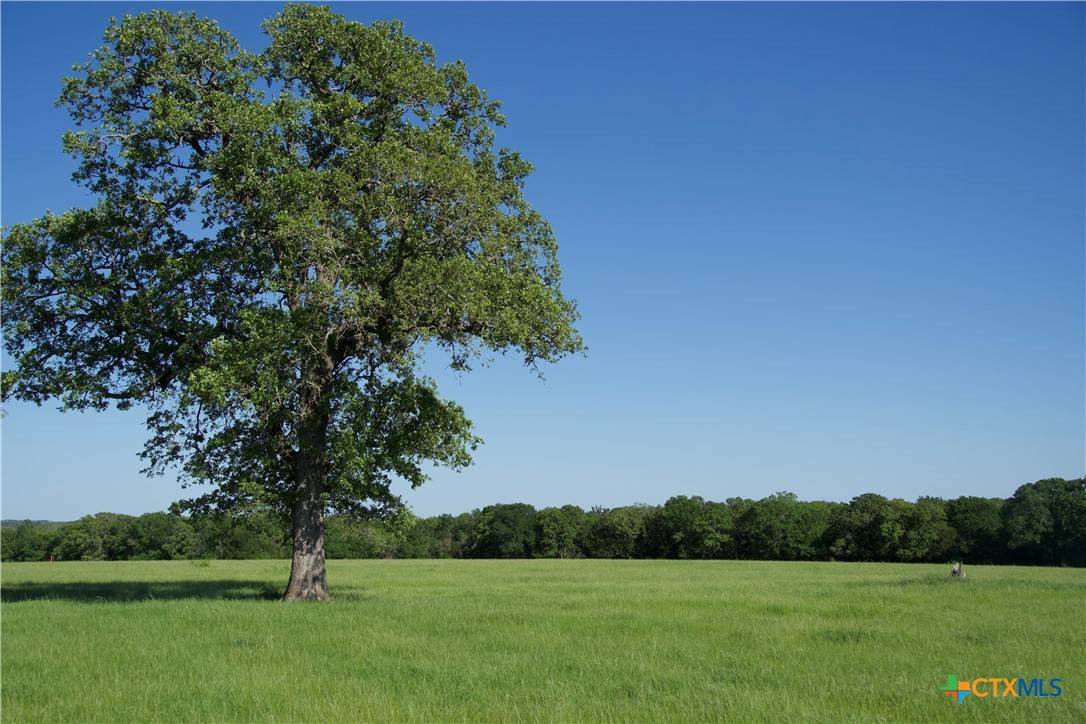 Paige, TX 78659,TBD St Delight (Tract 3) RD