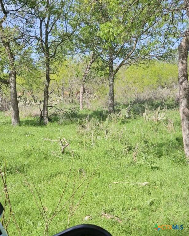 Rogers, TX 76569,1988 CR 116