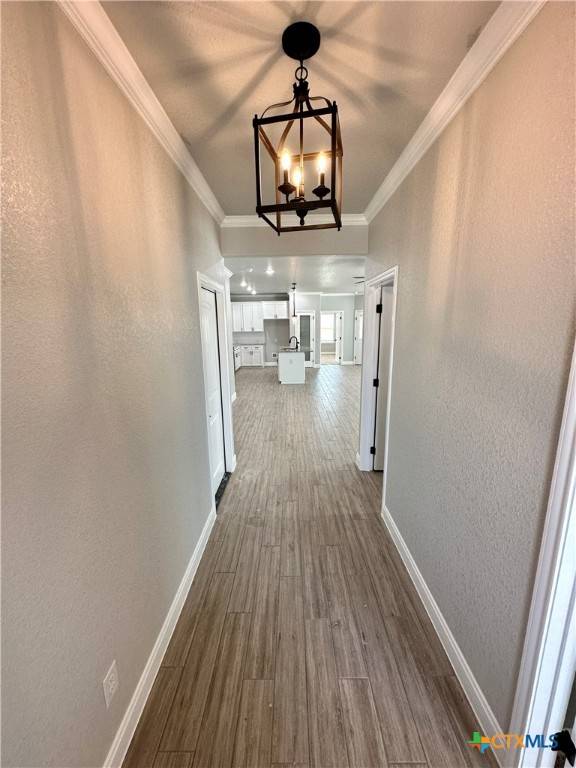 Temple, TX 76502,1611 Sideoats LN