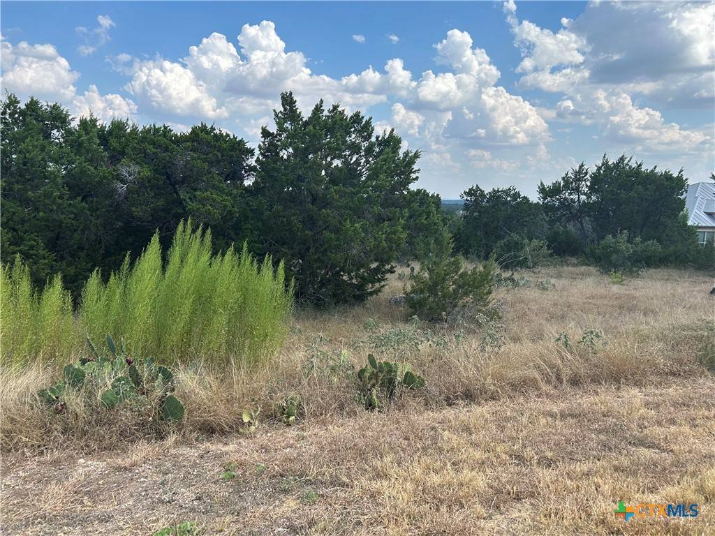 New Braunfels, TX 78132,339 Valley LDG