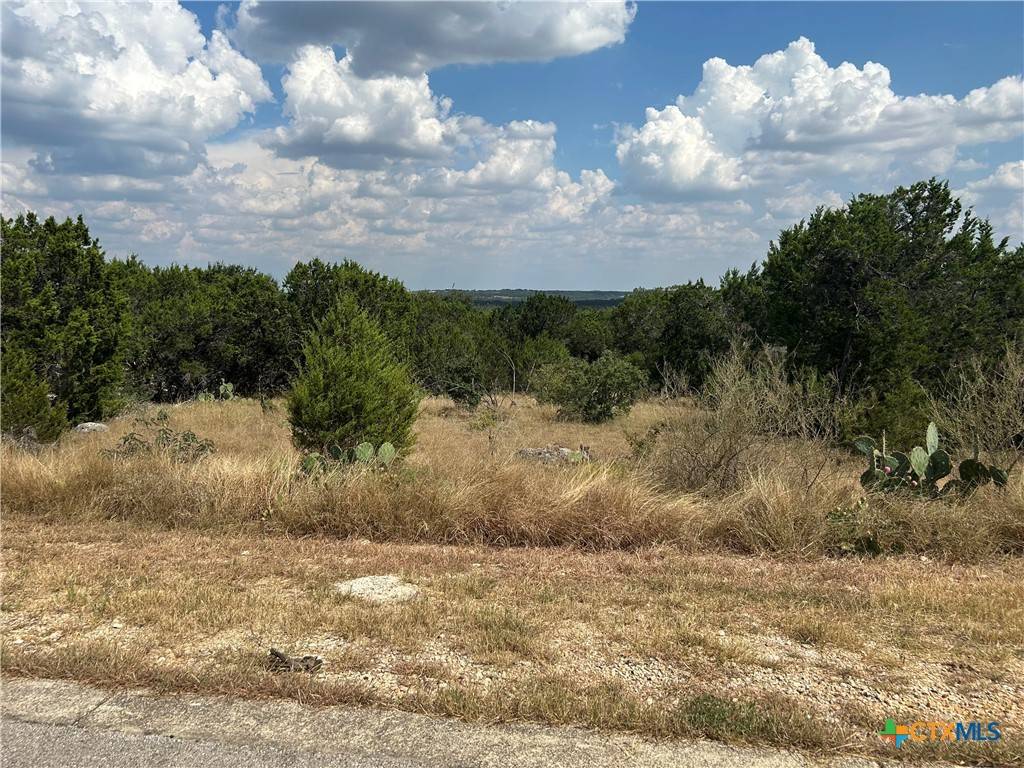 New Braunfels, TX 78132,339 Valley LDG