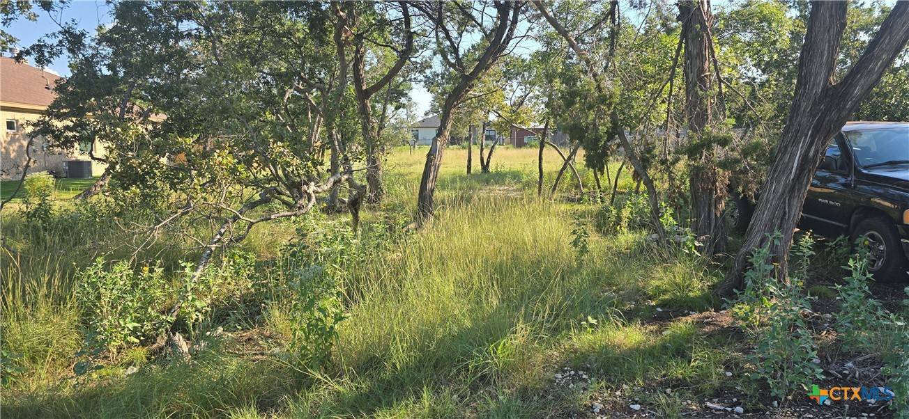 Temple, TX 76502,15939 Salado DR