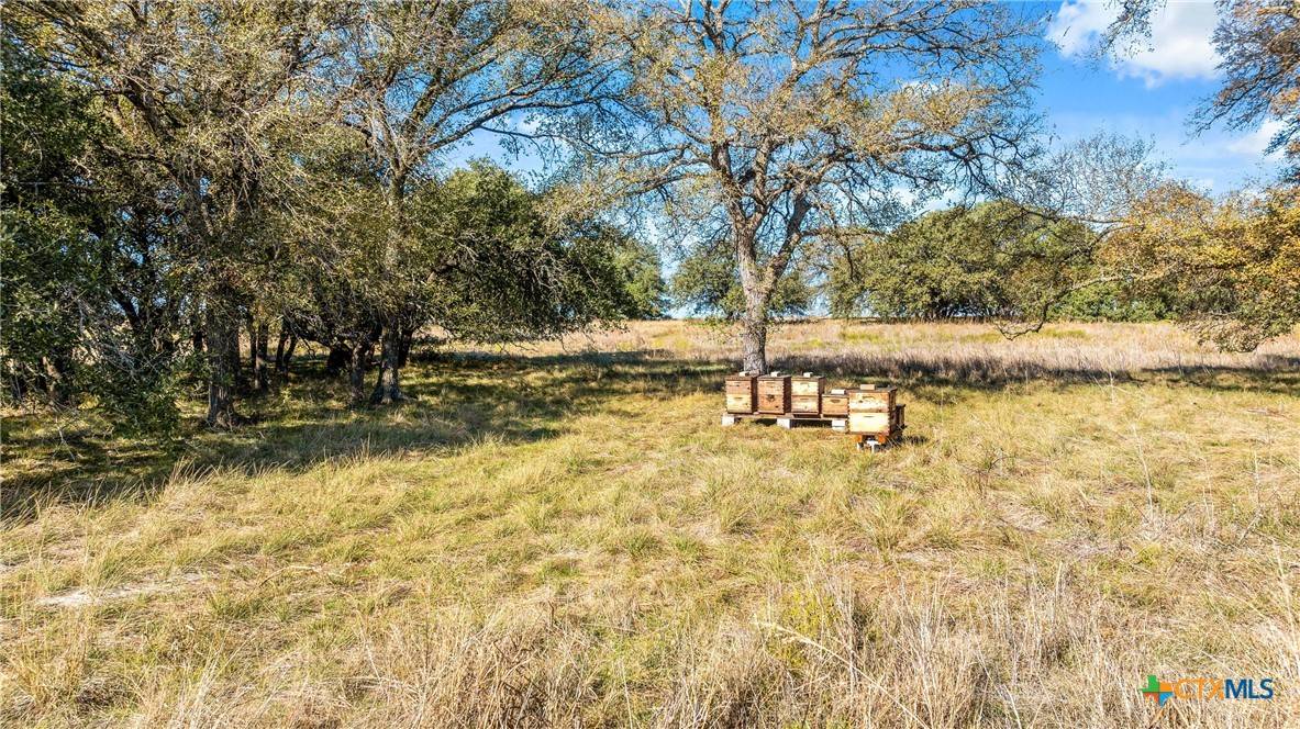 Oglesby, TX 76561,350 Yellowstone DR