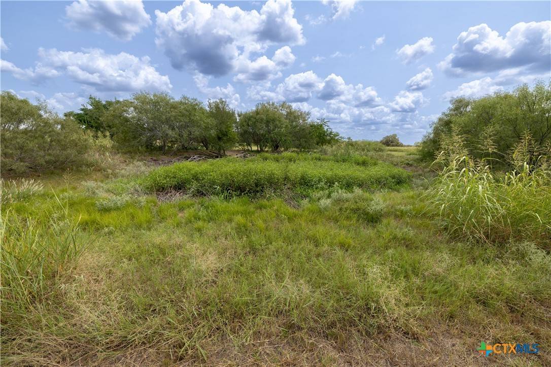 Lockhart, TX 78644,lot 7 Tenney Creek Rd