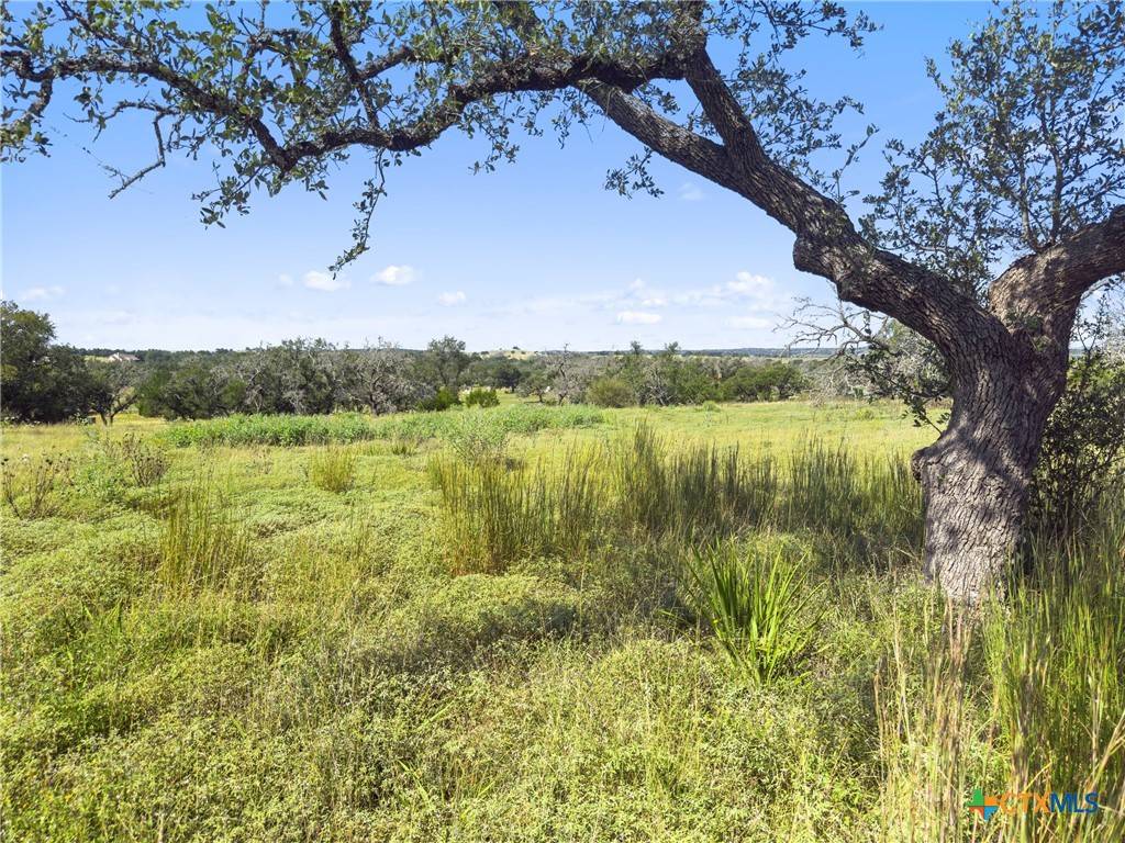 Fredericksburg, TX 78624,190 Axis CIR