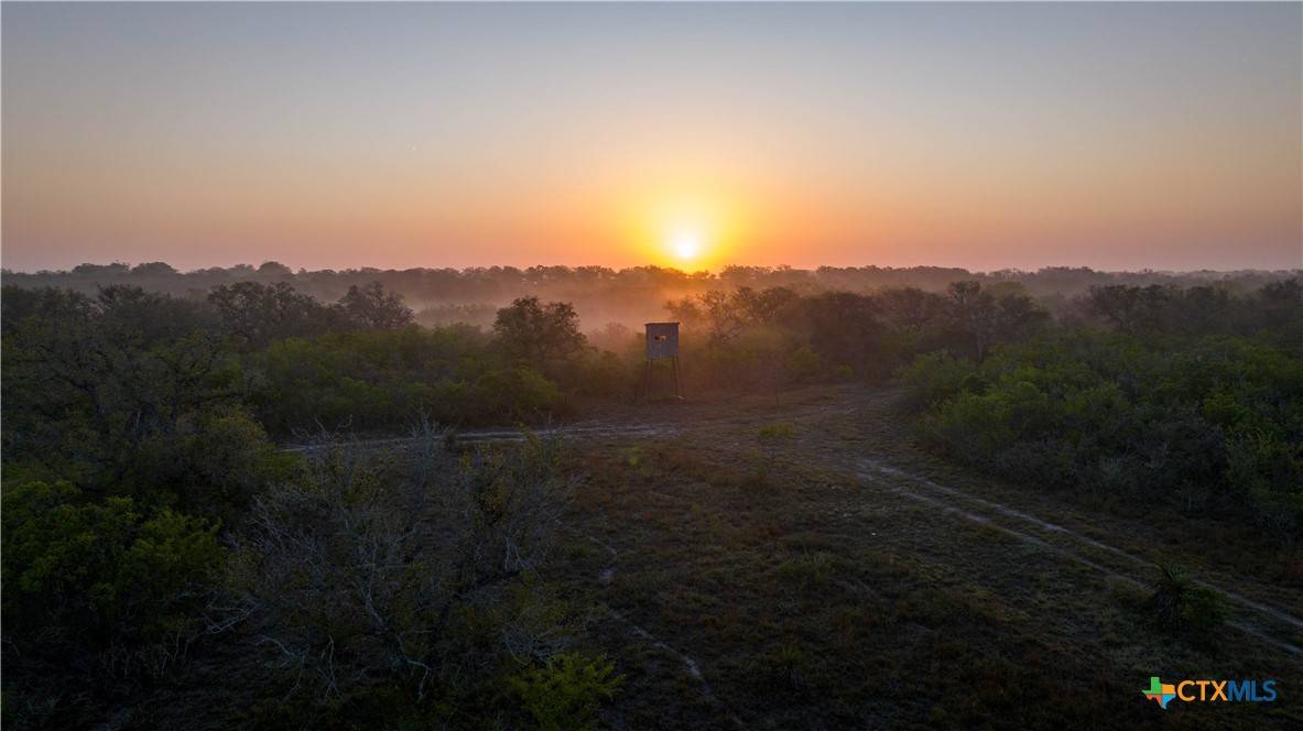 Goliad, TX 77963,8440 State Highway 239