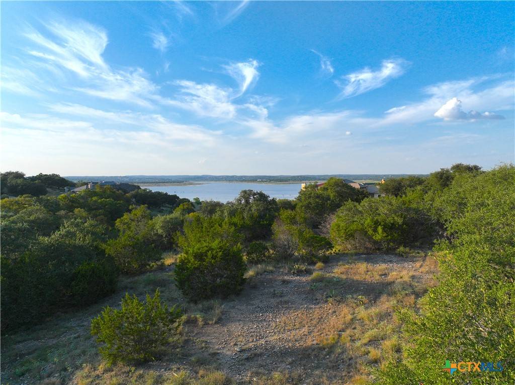 Canyon Lake, TX 78133,401 Scarlet CT