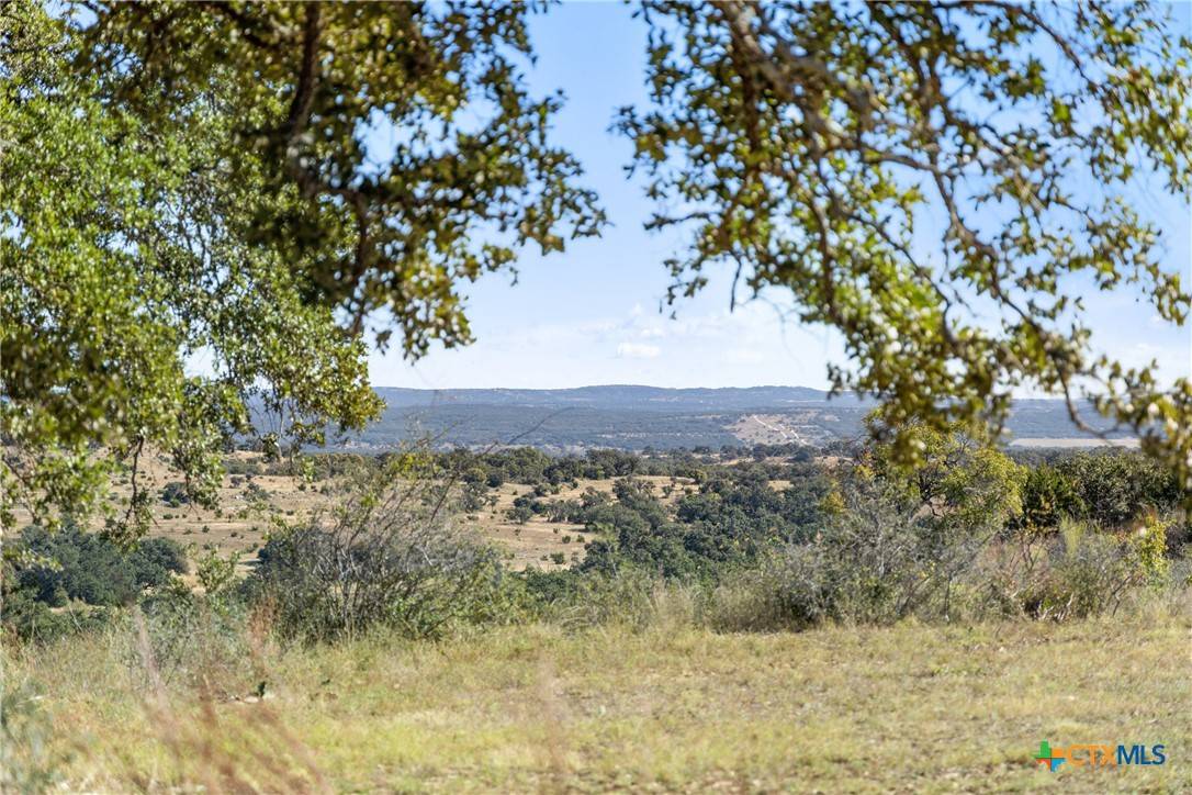 Johnson City, TX 78636,1484 Summit Ridge TRL