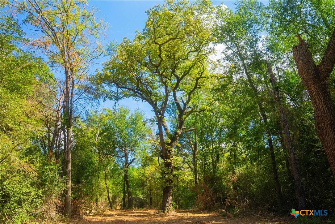 Hearne, TX 77859,12608 Red Hill RD