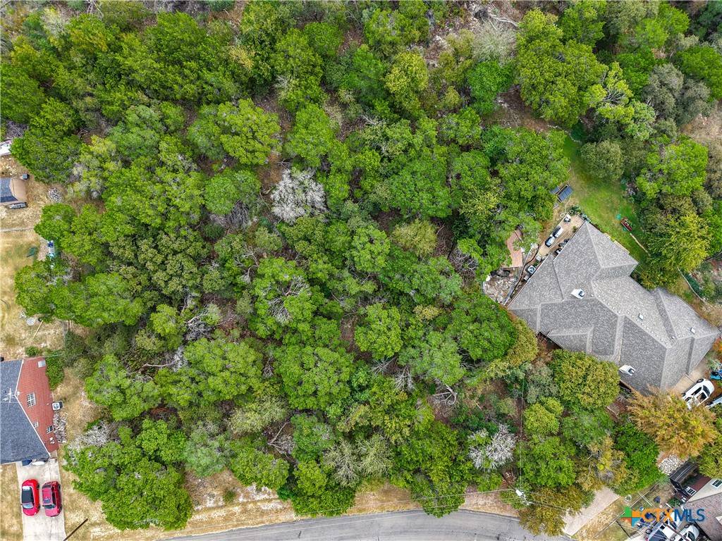 Temple, TX 76502,16217 Charlya DR