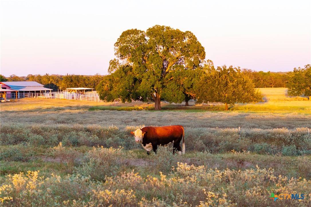 Seguin, TX 78155,1155 Fm 2438