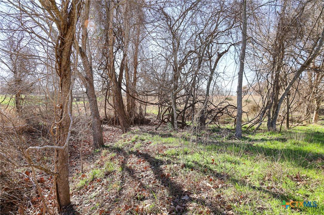 Shiner, TX 77984,511 CR 362 #Lot 6