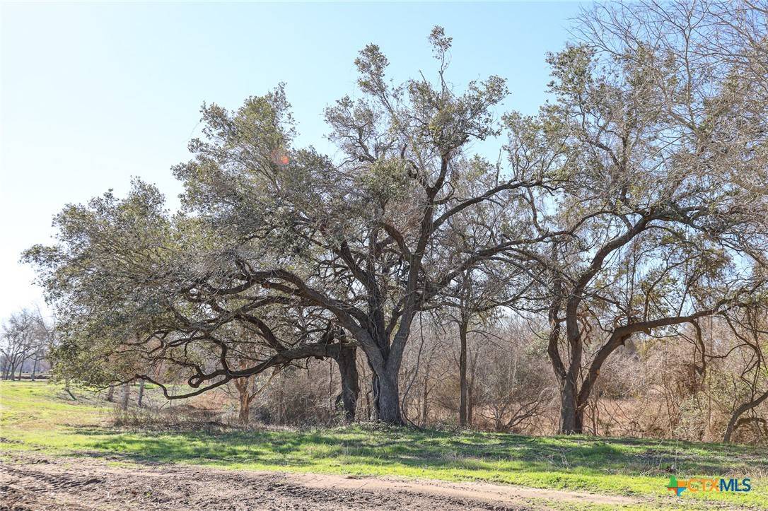 Shiner, TX 77984,511 CR 362 #Lot 3