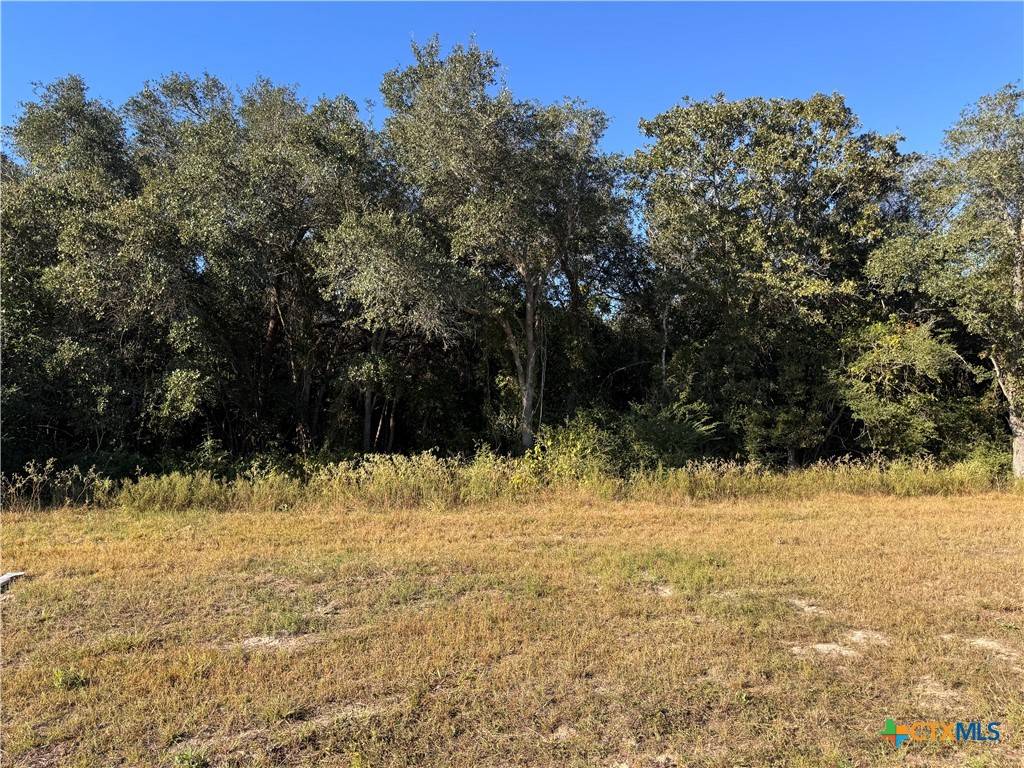 Inez, TX 77968,0000 Savannah Ranch RD